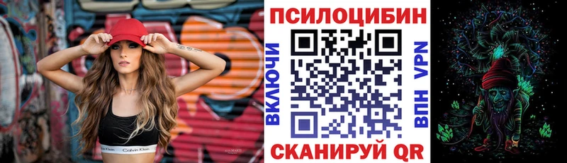 Псилоцибиновые грибы мицелий  Белая Холуница 