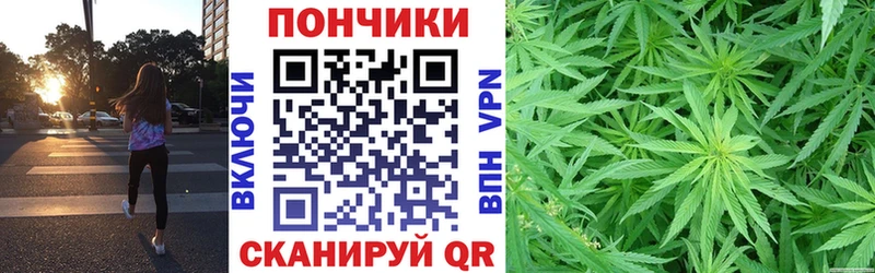 Каннабис конопля  Белая Холуница 